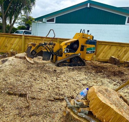 Improve Safety by removing stumps in the garden