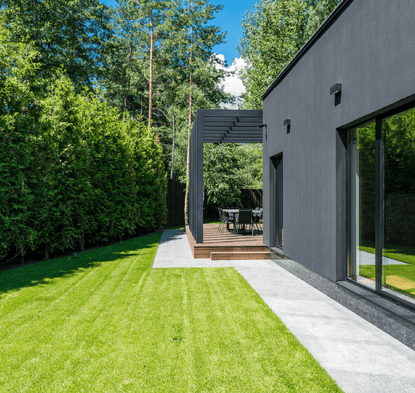 Increase Property Value by removing stumps and having a clean, level backyard