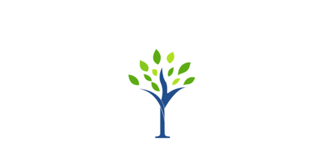 Experienced & Qualified Arborists in Hamilton