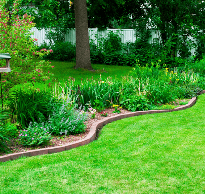 Enhance Landscaping with stump removals
