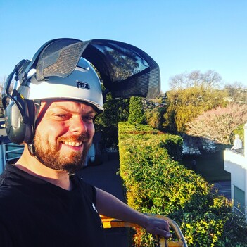 Matamata Tree Lifting