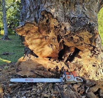 A tidy, hazard-free yard adds appeal and value.