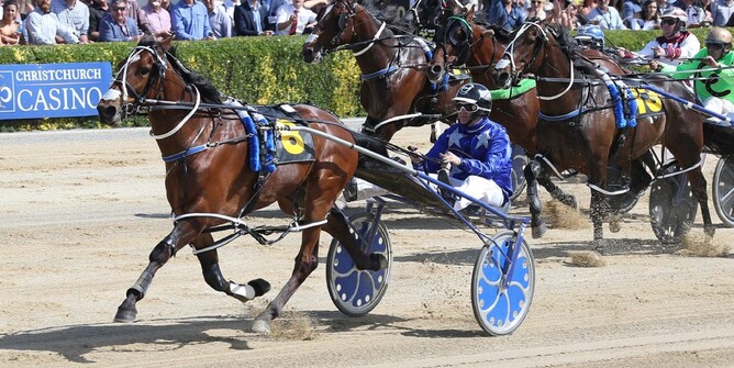 Turn It Up will contest the Waikato Flying Mile on Friday