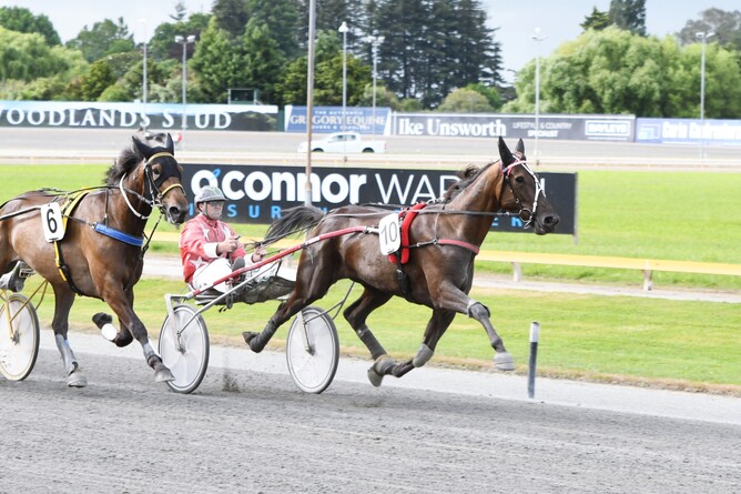 Elegant Peak strides away to win the Betavet Trot (2200m). - Photo: Chanelle Lawson