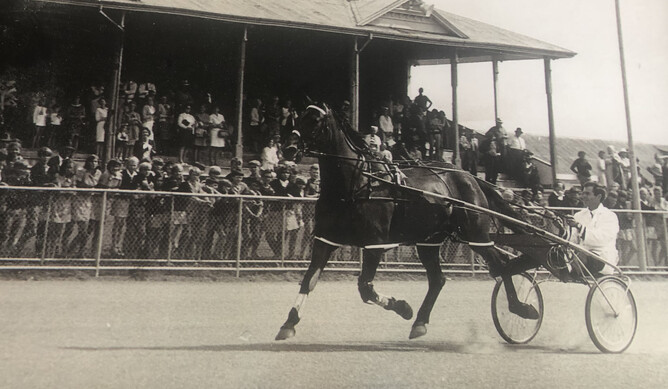 Champion pacer Cardigan Bay matching the NZ mile record at the Cambridge Raceway in 1963