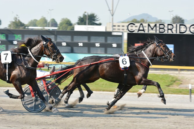 Mum's Star winning at The Raceway on Thursday - Photo: Chanelle Lawson