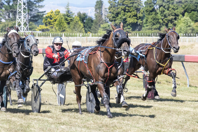 Kyle Marshall and Alta Leonie on their way to winning the Stratford Cup (2600m) - Royden Williams