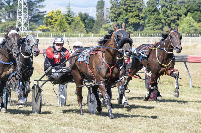Kyle Marshall and Alta Leonie on their way to winning the Stratford Cup - Royden Williams, Harness Racing Photography