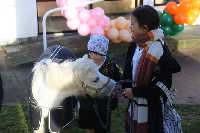 Cooper was happy to receive some birthday scratches from the local school children - Photo: Picket Fence