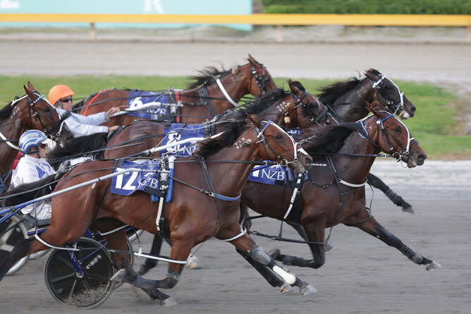 Merlin gets his nose in front to win the $200,000 Listed NZB Standardbred Harness Million Three-Year-Old Series Final (2200m) at Cambridge Raceway on Friday night.