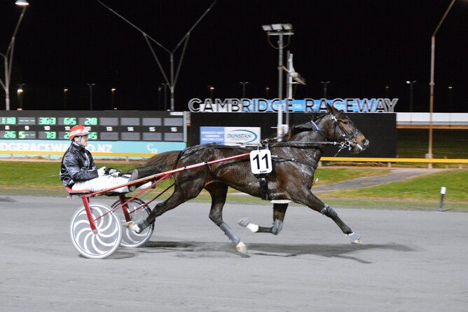 Xebec on his way to winning at The Raceway on Thursday. Photo: Chanelle Lawson