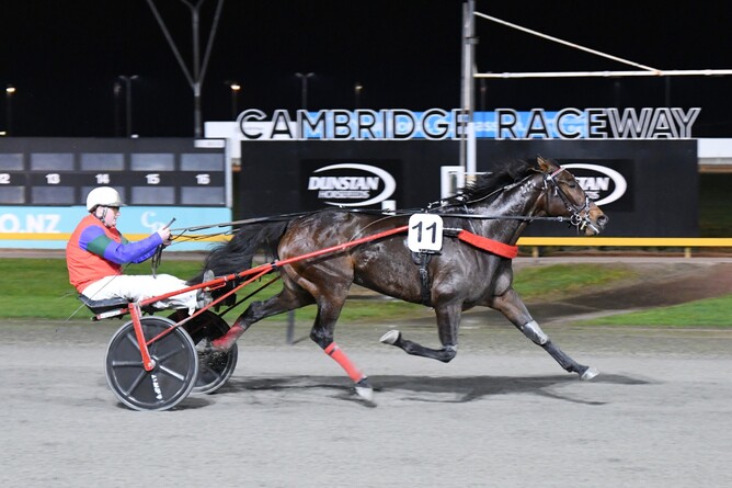 She Reigns is clear of her rivals to win at the Cambridge Raceway on Friday Night. - Photo: Chanelle Lawson.