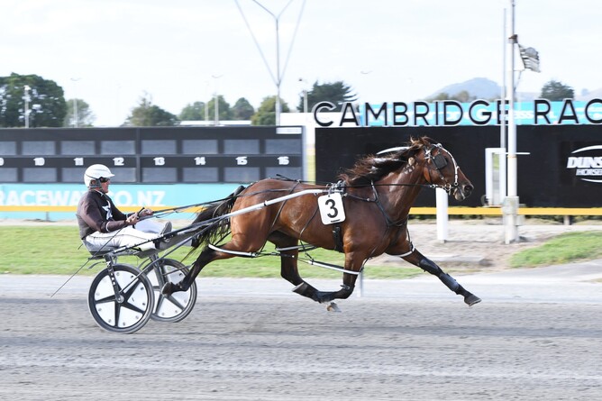 Mia Ragazza brings up a winning treble for Tony Herlihy at the Cambridge Raceway. - Photo: Chanelle Lawson.