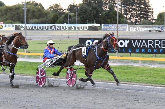 Hezashadowplaya wins at the Cambridge Raceway on Thursday night. - Photo: Chanelle Lawson Photography