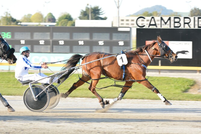 Comic Book Hero on his way to collecting his $2,500 bonus and breaking a track record - Chanelle Lawson