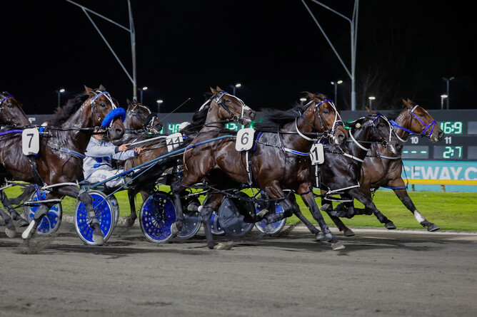 The Barry Purdon and Scott Phelan-trained Merlin was too good in Thursday's Gr.2McMillian Equine Feeds Flying Mile Pace. - Photo: Angelique Bridson