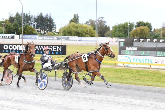 Allamericanlover was one of three winners for Steve and Amanda Telfer on Thursday night. - Photo: Chanelle Lawson
