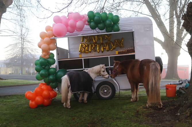 Kidz Kartz ponies Cooper (left) and Caramello (right) took a trip into town to celebrate their birthdays with the Community. - Photo: Picket Fence