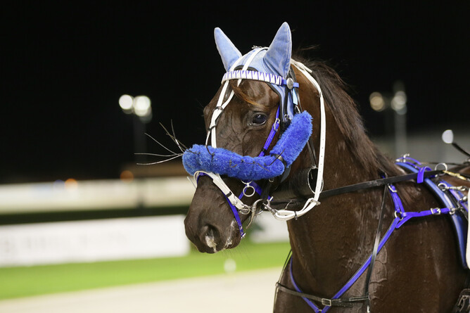 Baquero - Trish Dunell