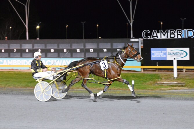 Alterior Motif winning at Cambridge Raceway earlier this year - Photo: Chanelle Lawson