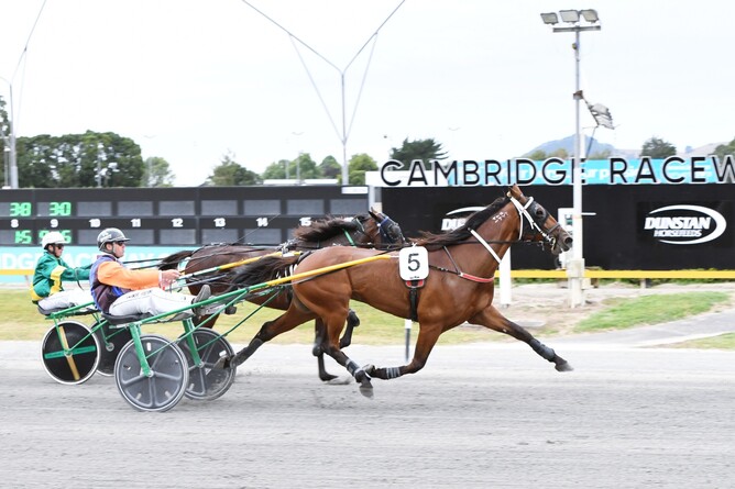 As Free as Air winning at the Cambridge Raceway earlier this year. - Photo: Chanelle Lawson