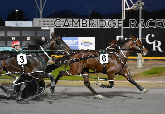 Copy That leading home a Ray Green trained quinella at The Raceway on Thursday night - Chanelle Lawson