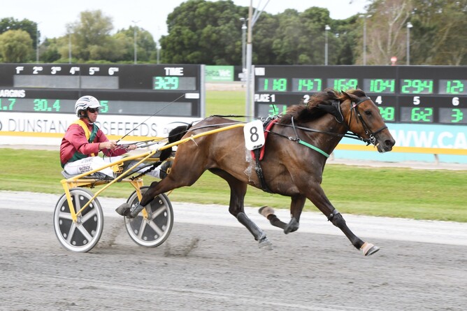 Resolve has clear running on the way to winning the Gr.3 Waikato Trotting Breeders’ Stakes - Photo: Chanelle Lawson