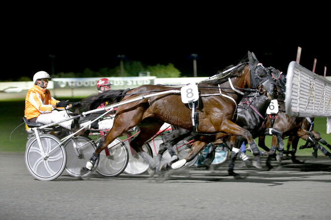 Monaro Mia - Trish Dunell