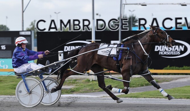 Twist Little Girl wins at The Raceway on Thursday. - Photo: Angelique Bridson