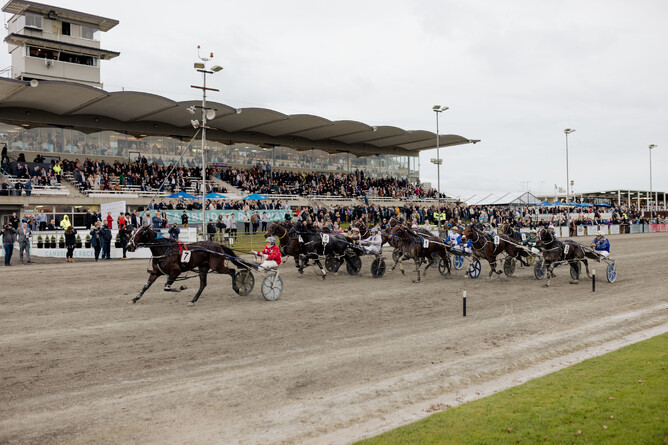 South Coast Arden, a possible contender for The Race, winning at Cambridge Raceway on IRT Harness Jewels day 2021.  - Photo: Christine Cornege