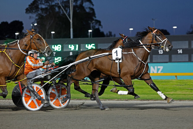 Maria Dreaming winning at Cambridge Raceway on Thursday night. - Photo: Angelique Bridson