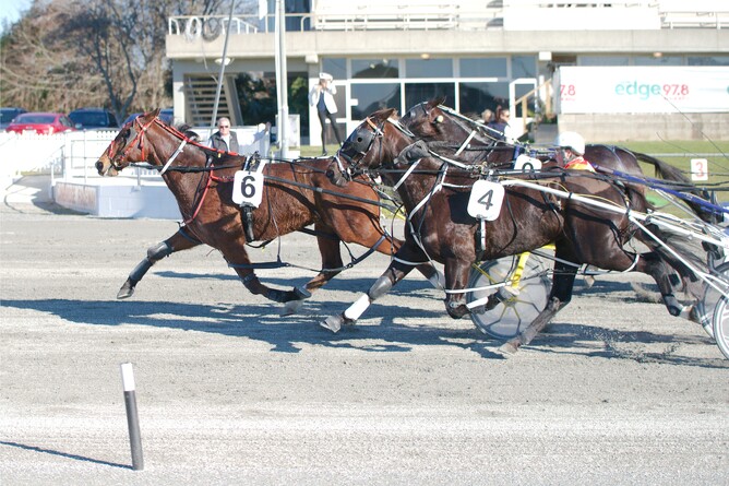 Hezaluckygrinner gets in front of his rivals to give trainer Les White his first win of the season. - Fokus Harness Racing Photography