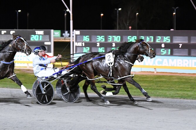 Major Perry on his way to winning at the Cambridge Raceway. - Photo: Chanelle Lawson