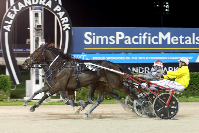 Last start Gr.1 Breckon Farms 2021 Northern Trotting Derby winner and Gr.1 Mitre 10 3YO Ruby leader Five Wise Men (outside) is among those confirmed for Saturday’s workouts. - Photo: Trish Dunell