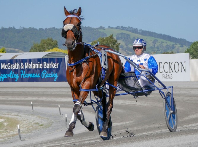 Scott Phelan reached an important milestone at the Cambridge Raceway on Thursday night - Josh Smith