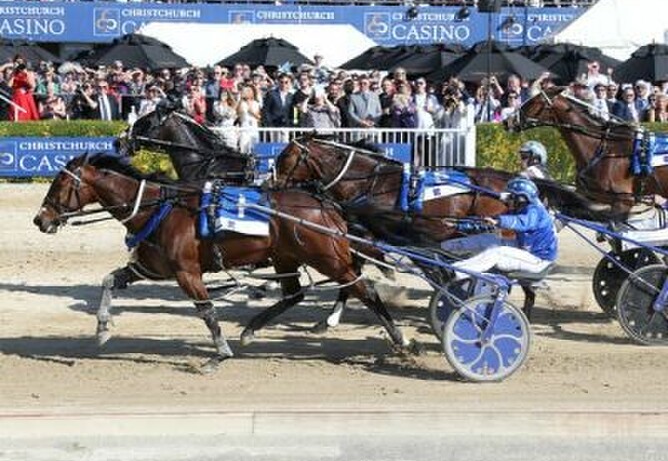 Thefixer will be out for redemption at The Raceway on Friday. - Photo: Race Images