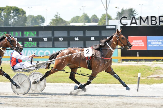 Emmber winning the Marsh Equine & Livestock Insurance Mobile Pace (2200m) at Cambridge Raceway on Christmas Eve - Photo: Chanelle Lawson