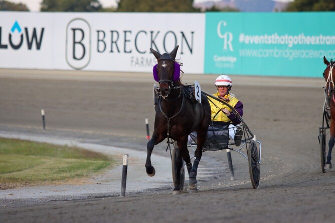 Highview Rockm Roll returns a winner at the Cambridge Raceway. - Photo: Angelique Bridson