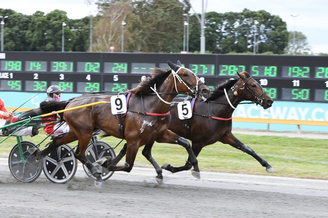 Tourminator (5) gets the better of stablemate Ngauruhoe in the Check out the CR Equipment Hire Trot. - Photo: Chanelle Lawson