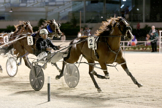 Gold Orchid - Trish Dunell