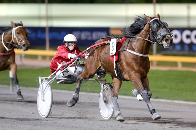 Zev Meredith and Havehorsewilltravel glide to victory at Cambridge Raceay.   - Photo: Trish Dunell