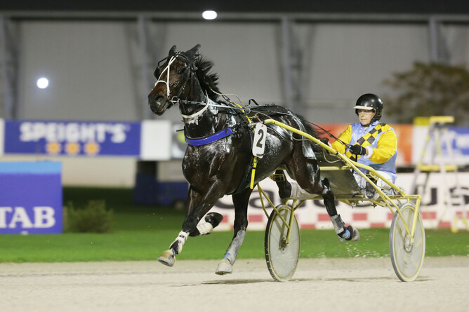 Current Dunstan Horse of the Year series leader Credit Master - Trish Dunell