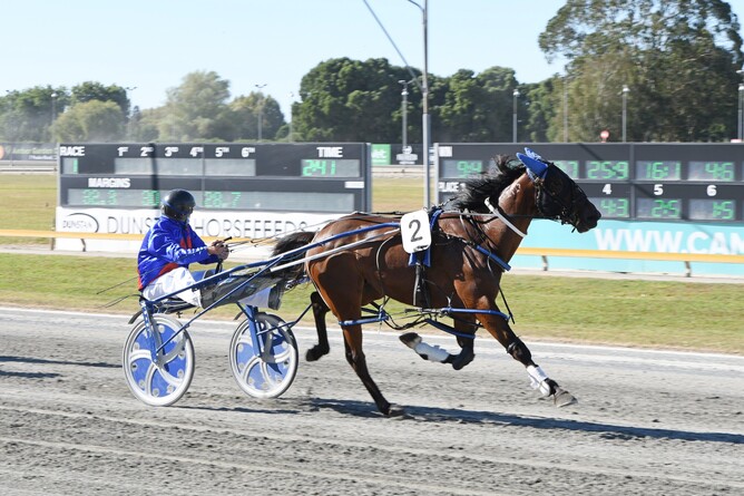 Hey Bartender winning at the Cambridge Raceway on Thursday. - Photo: Chanelle Lawson