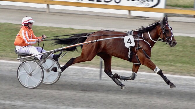 Sacred Mountain winning at Cambridge on Thursday Night - Photo: Supplied