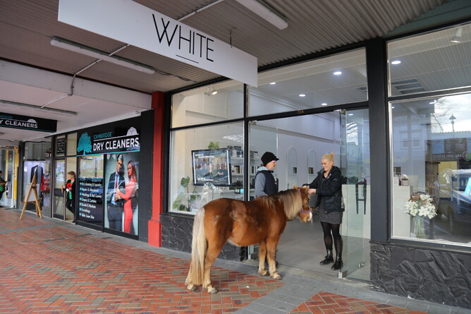 Caramello called into CR sponsor White Salon for a birthday do - Photo: Picket Fence