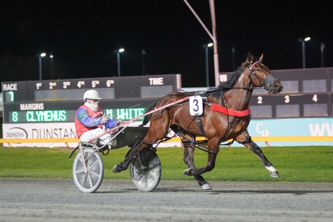 Classy Operator at the Cambridge Raceway last month. - Photo: Angelique Bridson