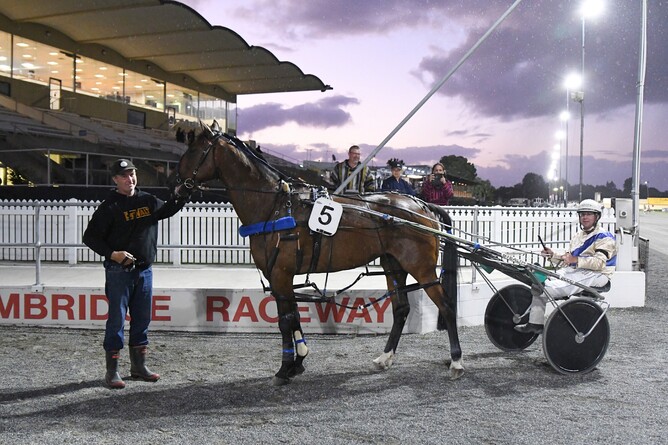 A happy Chris Webber stands at the head of Fleeting Grin after his win at The Cambridge Raceway on Thursday. - Photo: Chanelle Lawson.