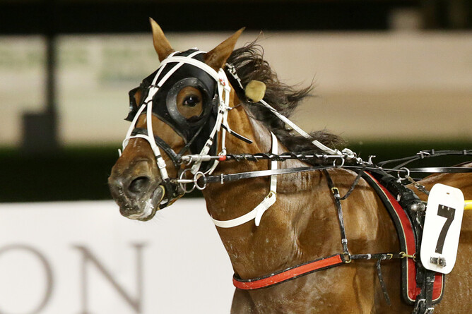 Lemond - Trish Dunell