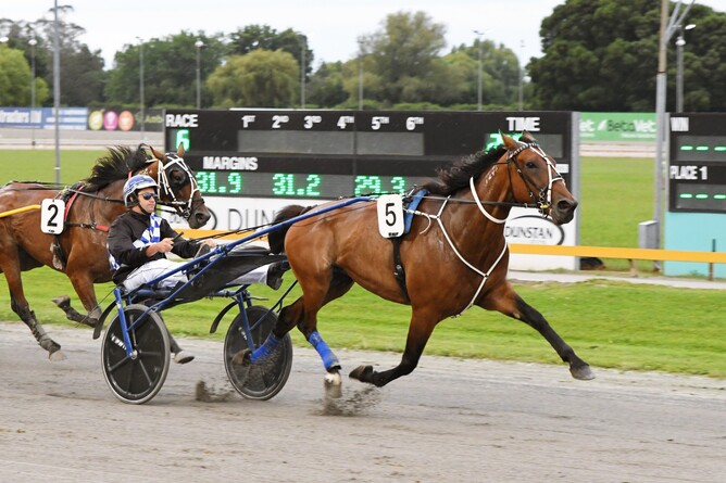 Majestic Man in full flight as he wins the Gr.3 Cambridge Flying Stakes. - Photo: Chanelle Lawson