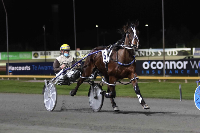 Tonites Delight was part of a winning treble for trainers Barry Purdon and Scott Phelan. - Photo: Angelique Bridson